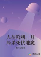 人在哈利，开局杀死伏地魔