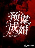 预谋成婚