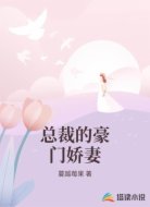 总裁的豪门娇妻