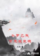 斗罗之我有无数武魂