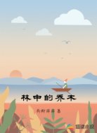 林中的乔木