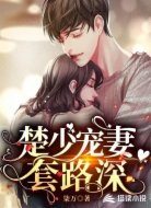 楚少宠妻套路深