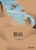 数码