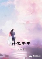 一夜年年