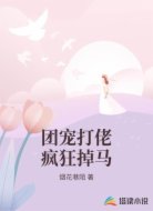 团宠打佬疯狂掉马