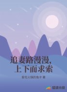 追妻路漫漫，上下而求索