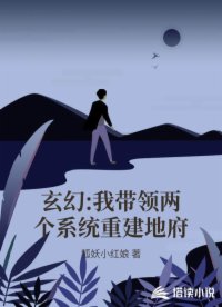书名