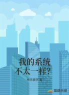 我的系统不太一样？