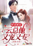 娇妻蜜爱:云总他又宠又专