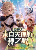 原神之来自天理的神之眼