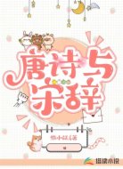 唐诗与宋辞