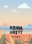 失恋后被上司拿下了