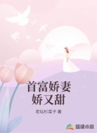首富娇妻娇又甜