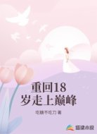 重回18岁走上巅峰