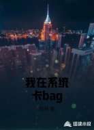 我在系统卡bag