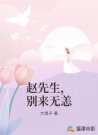 赵先生，别来无恙