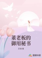 董老板的御用秘书