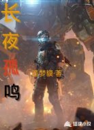 长夜孤鸣