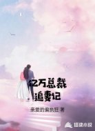 亿万总裁追妻记