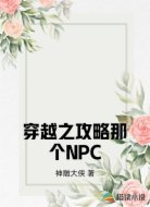 穿越之攻略那个NPC