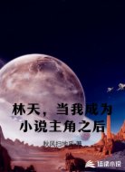 林天，当我成为小说主角之后