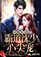 闪婚厚爱,霸道沈少心尖宠