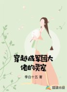 穿越成军团大佬的灵宠