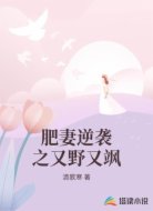 肥妻逆袭之又野又飒