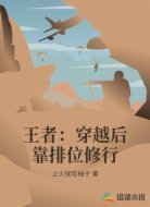 王者：穿越后靠排位修行