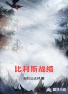 比利斯战绩