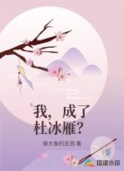 我，成了杜冰雁？