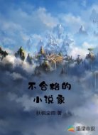 不合格的小说家