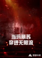 当玛丽苏穿进无限流