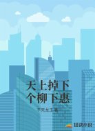 天上掉下个柳下惠