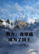西方：我穿越成为了国王