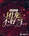 书名