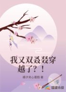 我又双叒叕穿越了？！
