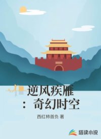 逆风疾雁：奇幻时空