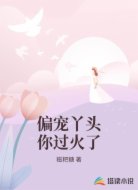 偏宠丫头你过火了