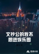文抄公的我不想进娱乐圈