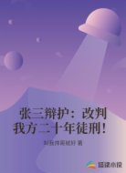 张三辩护：改判我方二十年徒刑！
