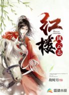 红楼风云志