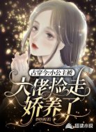 古穿今:小公主被大佬捡走娇养了