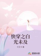 快穿之白光未及