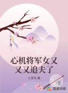 心机将军女又又又追夫了