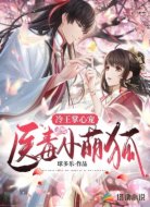 冷王掌心宠：医毒小萌狐