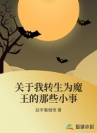 关于我转生为魔王的那些小事