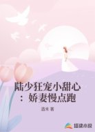 陆少狂宠小甜心:娇妻慢点跑