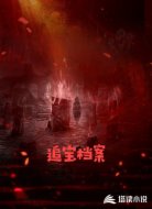 追宝档案
