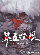 第五双眼